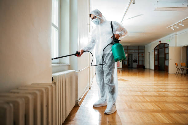 Best Termite Control Services  in Bartlett, IL