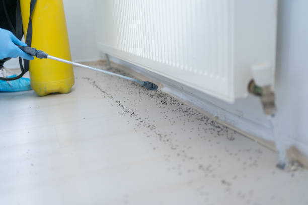 Best Best Pest Control Companies  in Bartlett, IL